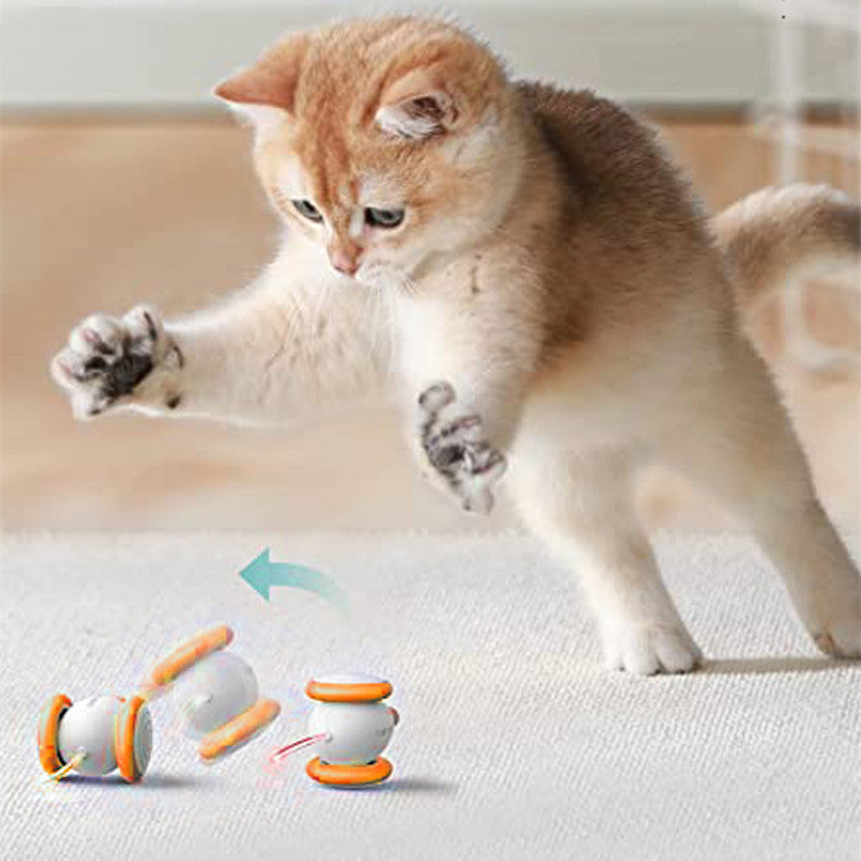 Discover the Joy of Play with the Electric Intelligent Pet Teasing Toy